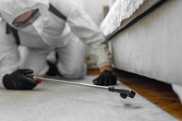 Professional Termite Control technician working in Hayneville, AL