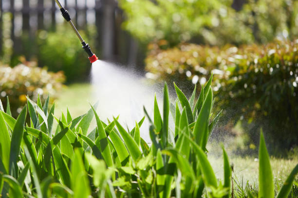 24/7 Emergency Termite Control experts in Hayneville, AL